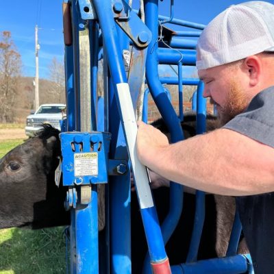 Marshall in the farm